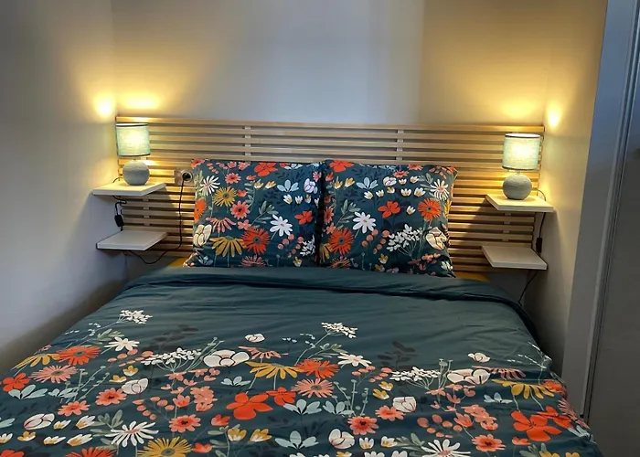 Apartman Sublime T2, Entierement Renove